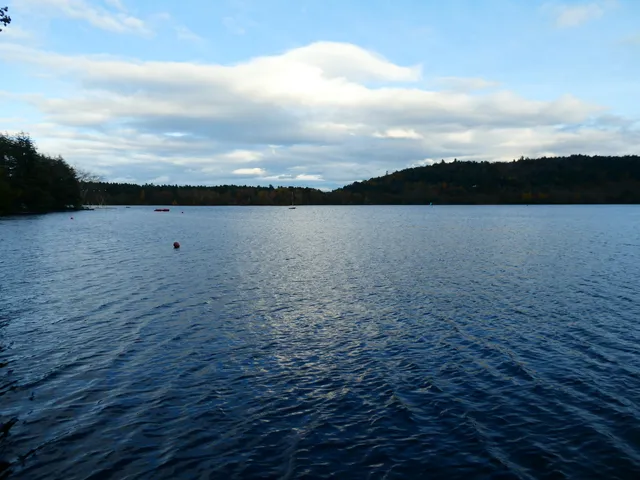 Zone Humide du Lac d'Aydat