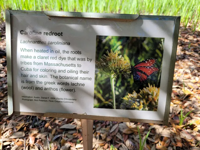 Jacksonville Arboretum Parking