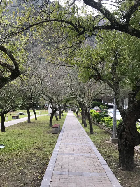 Tianxiang Plum Garden