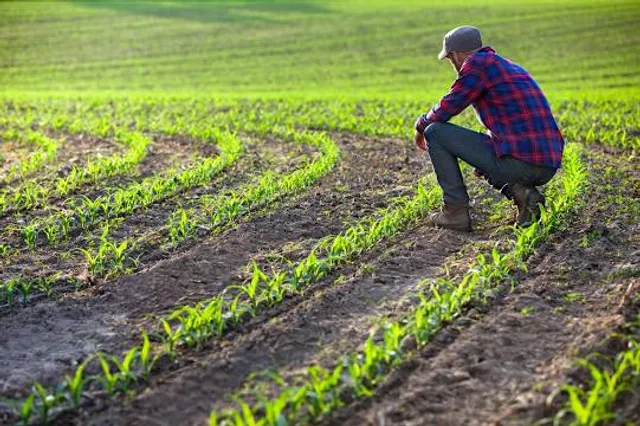 Biotope of San Daniele