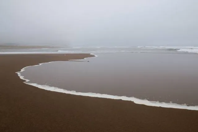Taft Waterfront Park - Public Beach Access