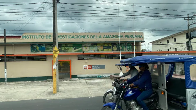 Instituto de Investigaciones de la Amazonía Peruana