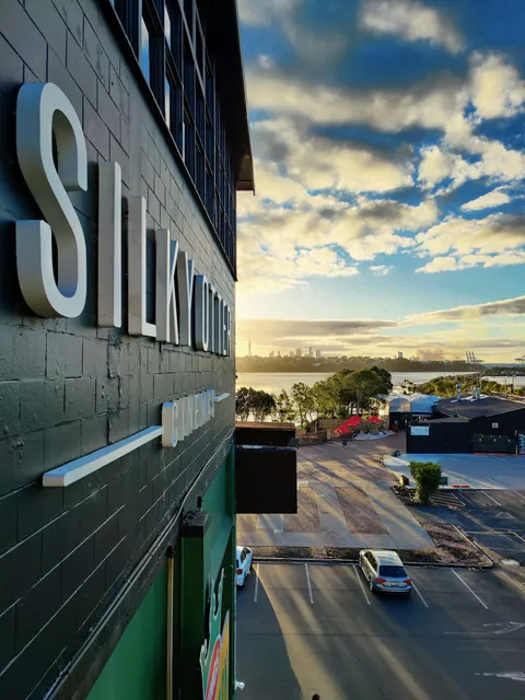 Silky Otter Cinemas Orakei