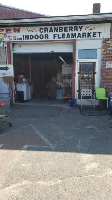 Ottomic Blue Collectibles