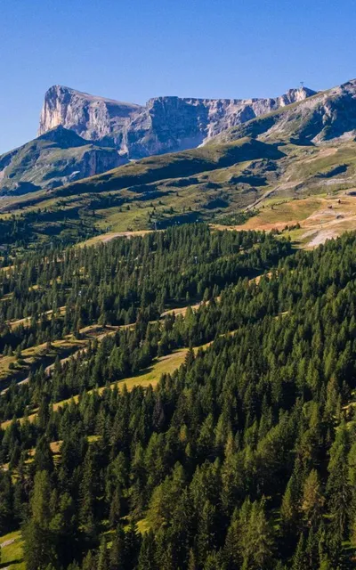 photo-3