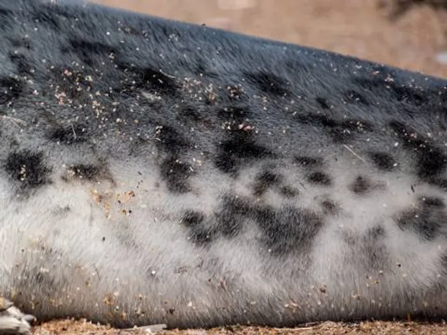 Wycombe Museum & Wedding Venue