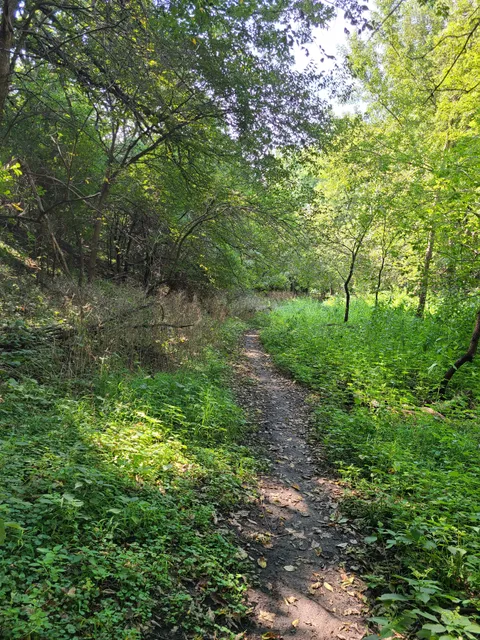 Valley Of The Giants Trail