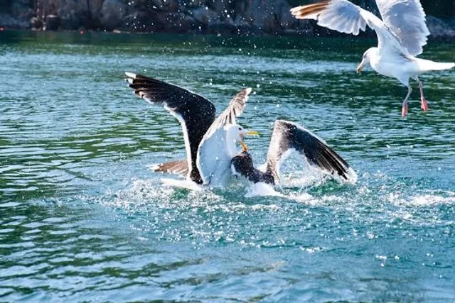 Cascata Cara de Índio