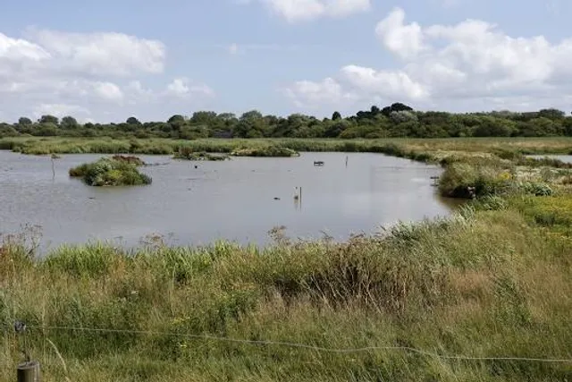 Titchfield Haven National Nature Reserve