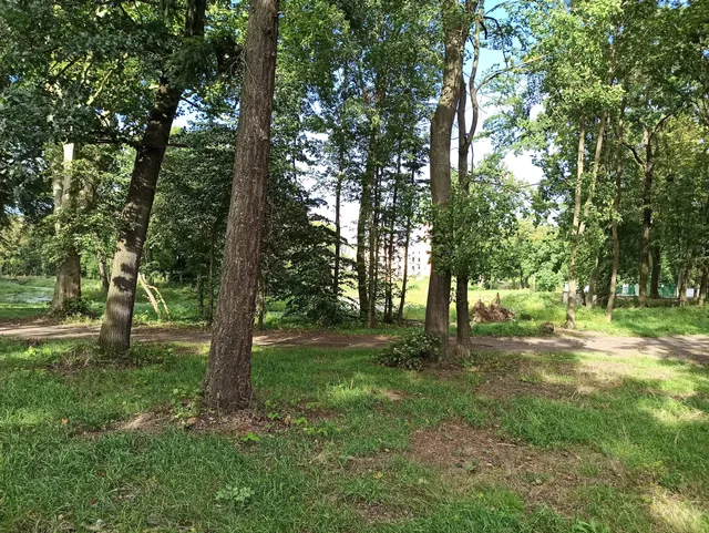 The palace and park in Dobra