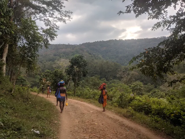 Sabarimala Traditional Trekking Path