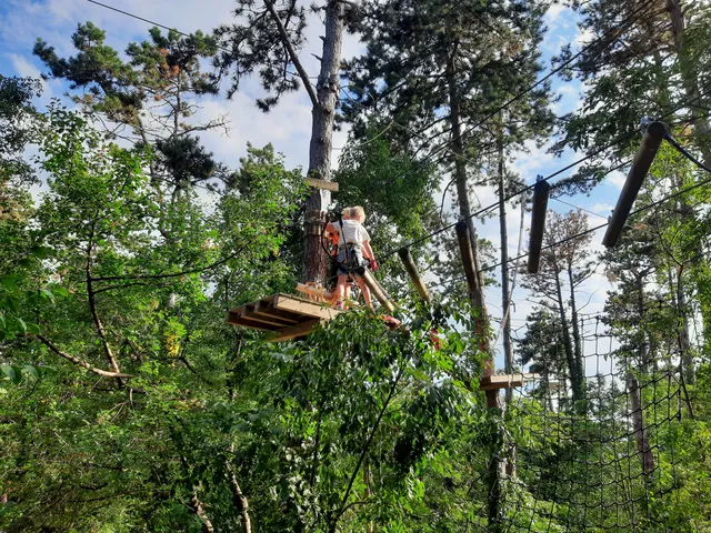 Jungle Adventure Park