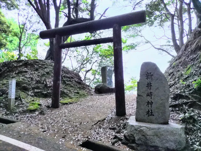 photo-1