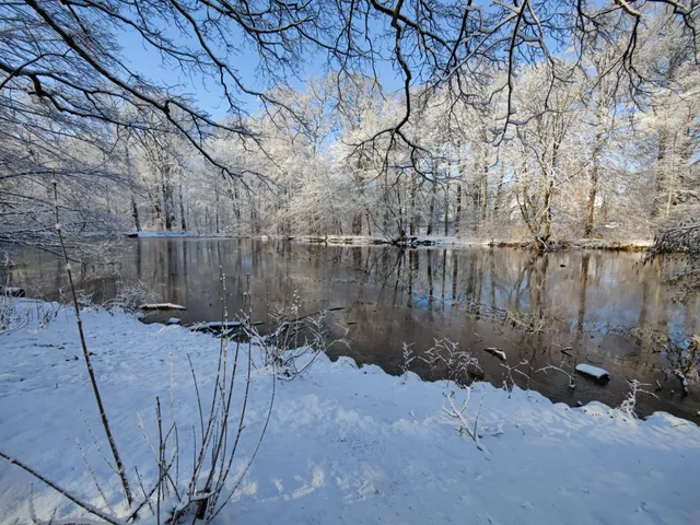 Hohenbuchenpark Poppenbüttel