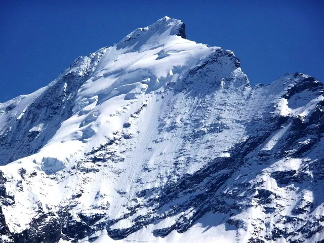 photo-1