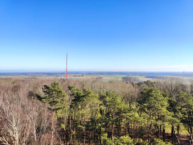 Tower on the Litberg
