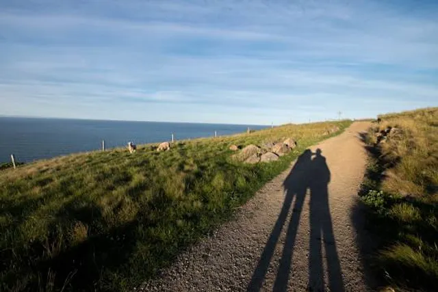 Coastal walking track