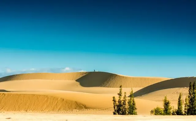 Đồi cát Quang Phú