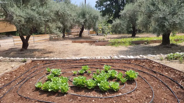Lefkada Micro Farm