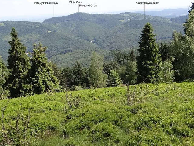 Przełęcz Bukowska (Beskid Mały)