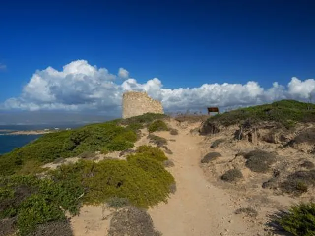 photo-2