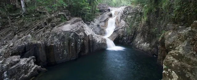 Eungella National Park