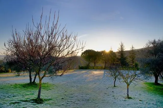 Riserva naturale del Meisino e dell'Isolone di Bertolla