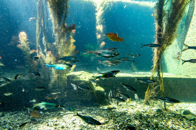 Odrarium ZOO Wrocław