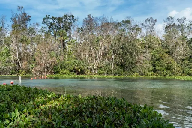 Ocala Wetland Recharge Park