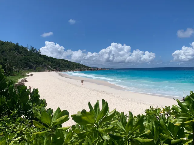 Petite Anse Beach