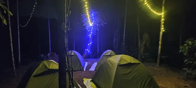 Tropical camping