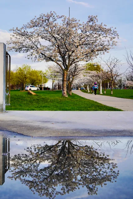 Bayfront Park Lookout Area