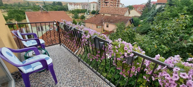 Apartments „Vladan“
