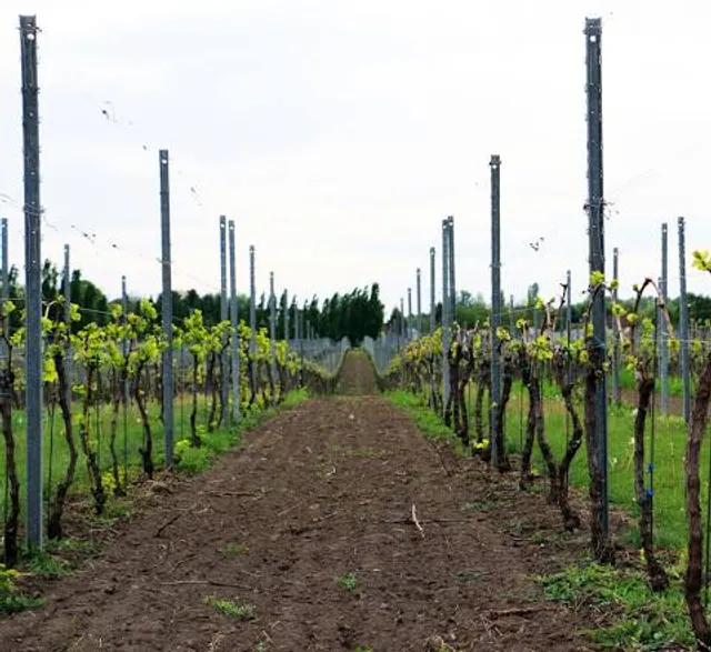 Grapeland Water Park