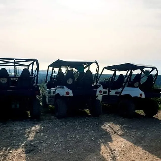 רייזרים הכרמל