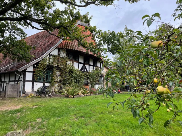 Westfälisches Storchenmuseum