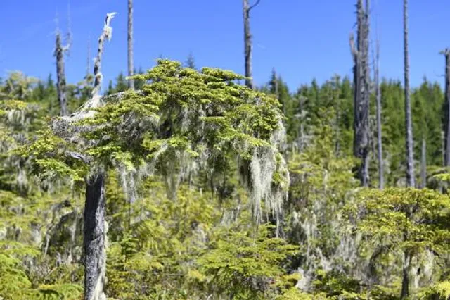 Alert Bay Ecological Park