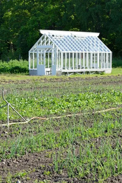 Watch Museum of Le Locle
