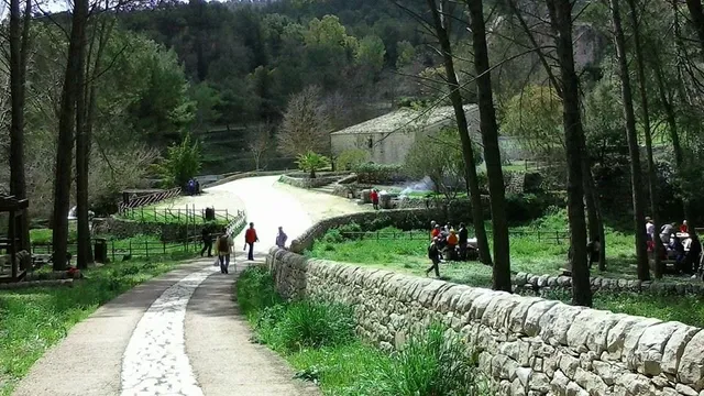 Parco forestale Calaforno