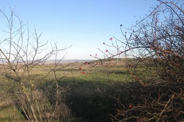 Marine Biology Station Laboe