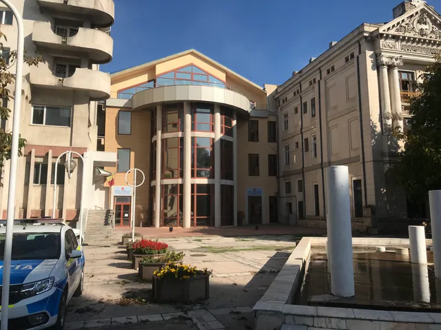 "Paul Păltănea" History Museum