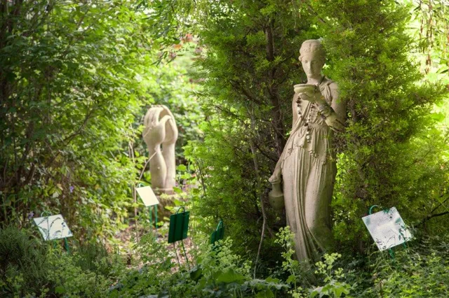 Dilston Physic Garden