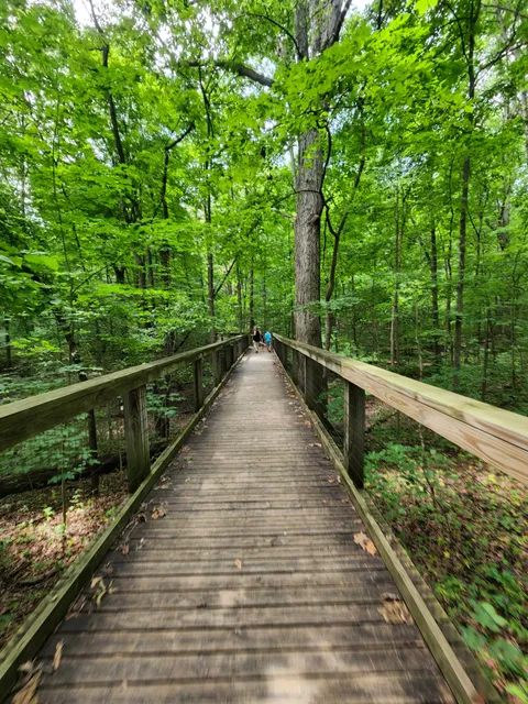 Lindenwood Nature Preserve