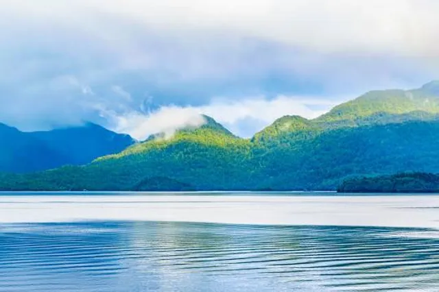 Pothundy Dam View Point Park
