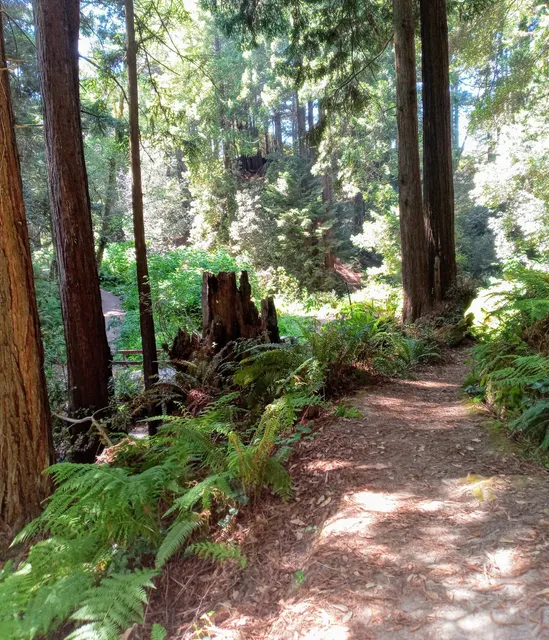 Otis R. Johnson Wilderness Park