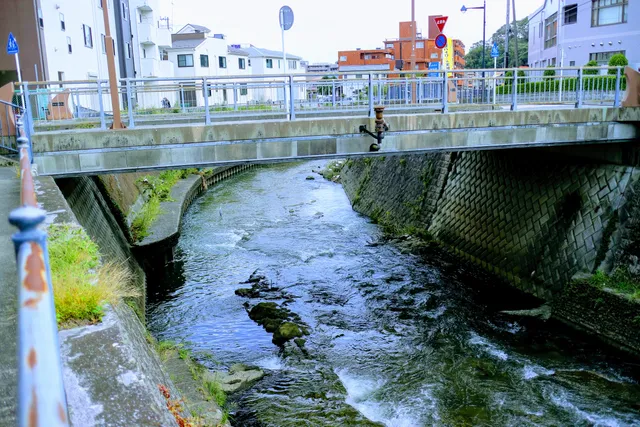 Higashikawashimasuidomichi Park