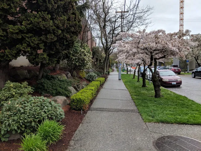 Archdiocese of Seattle