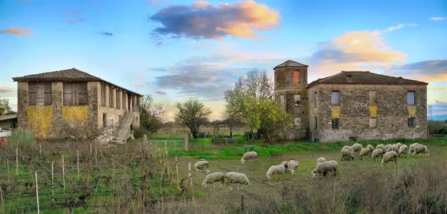 Novodvinskaya Krepost'