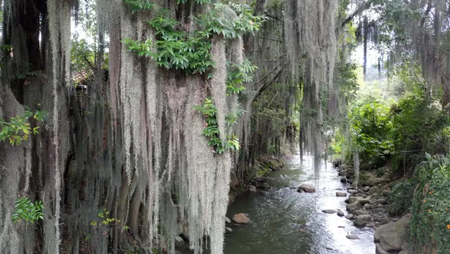 Puente de las Ánimas