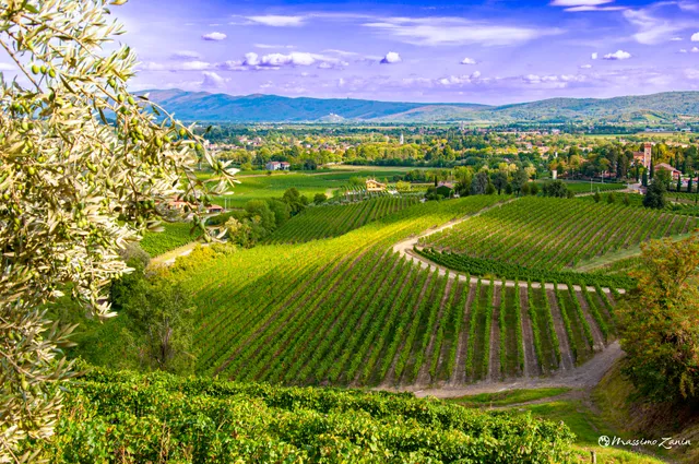 Sentiero delle Vigne Alte